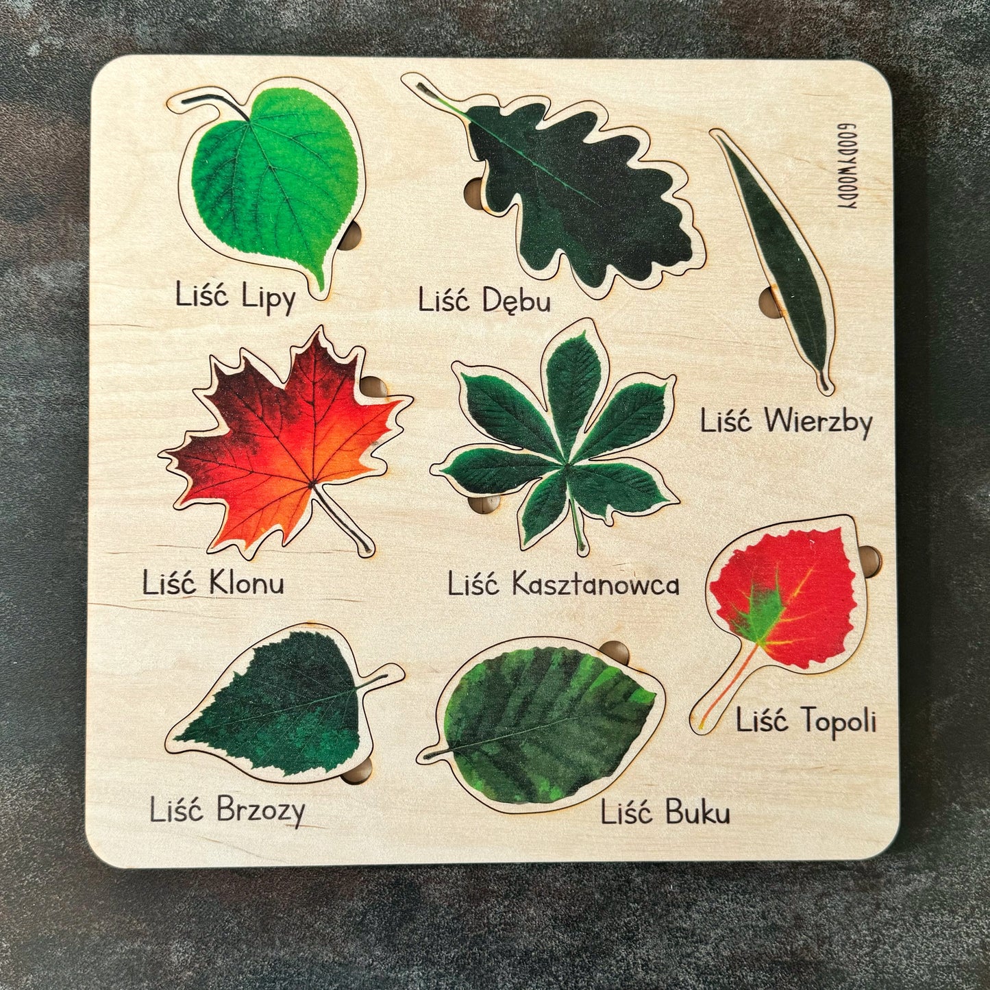 Educational puzzle - Leaves