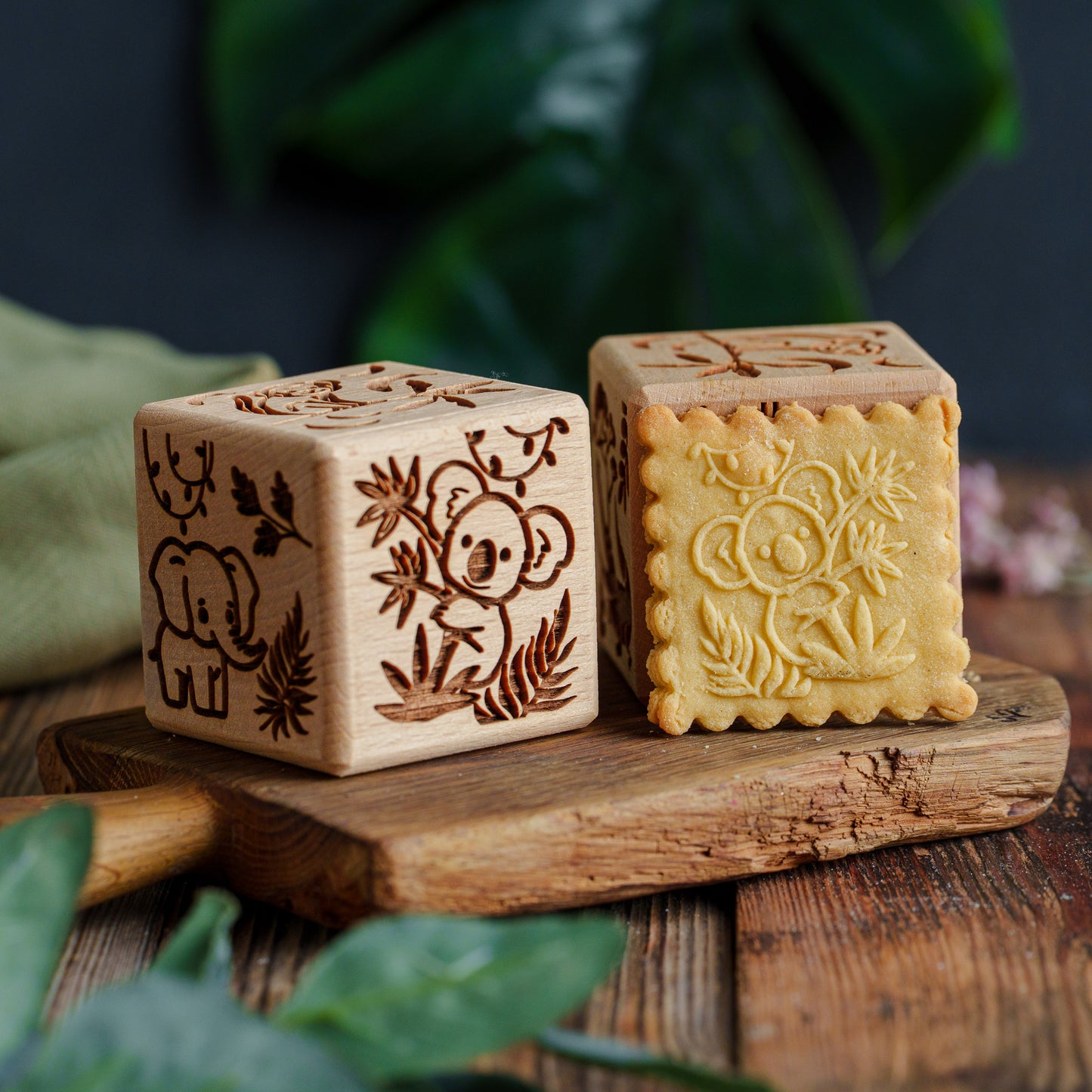 SAFARI, cake cube