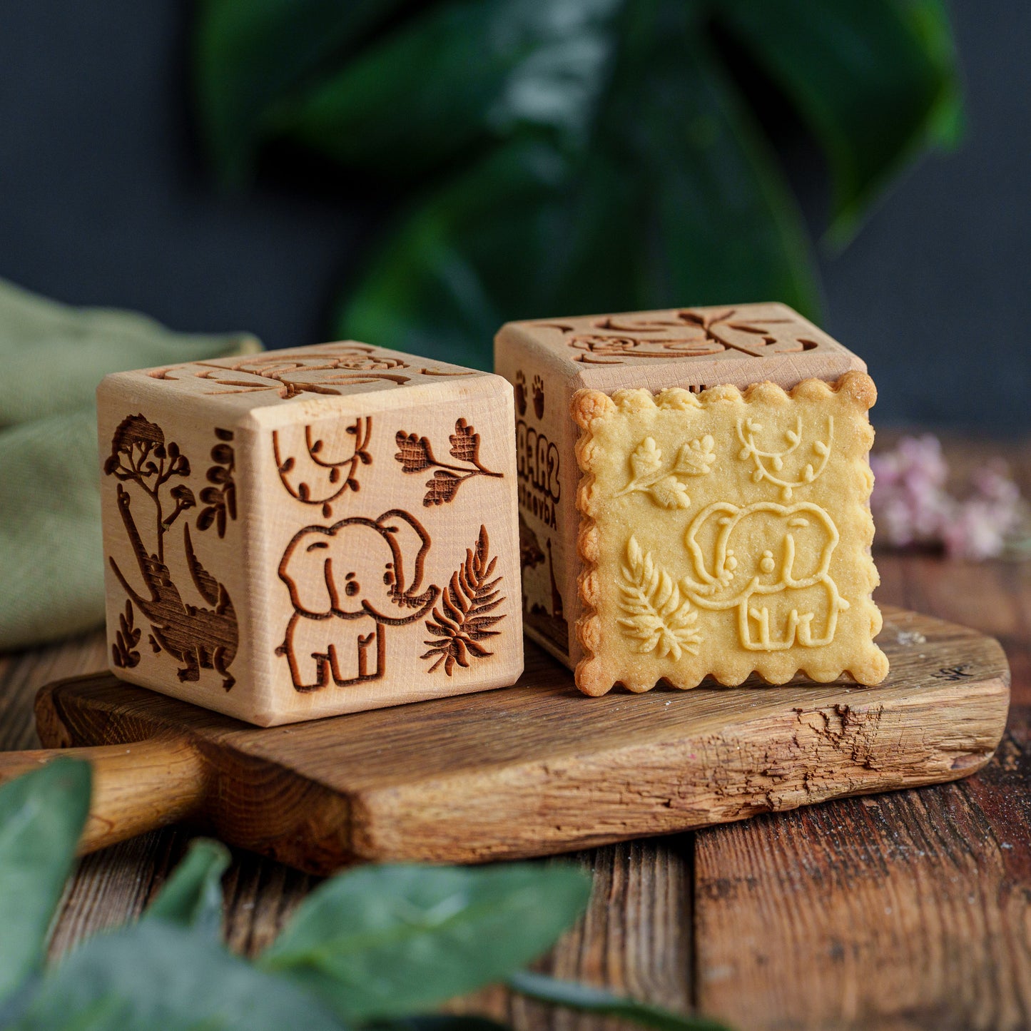 SAFARI, cake cube