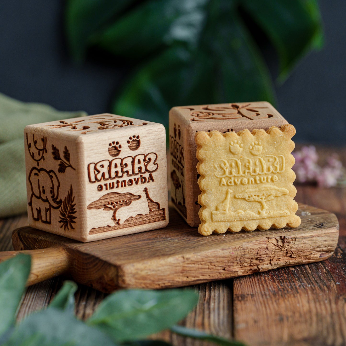 SAFARI, cake cube