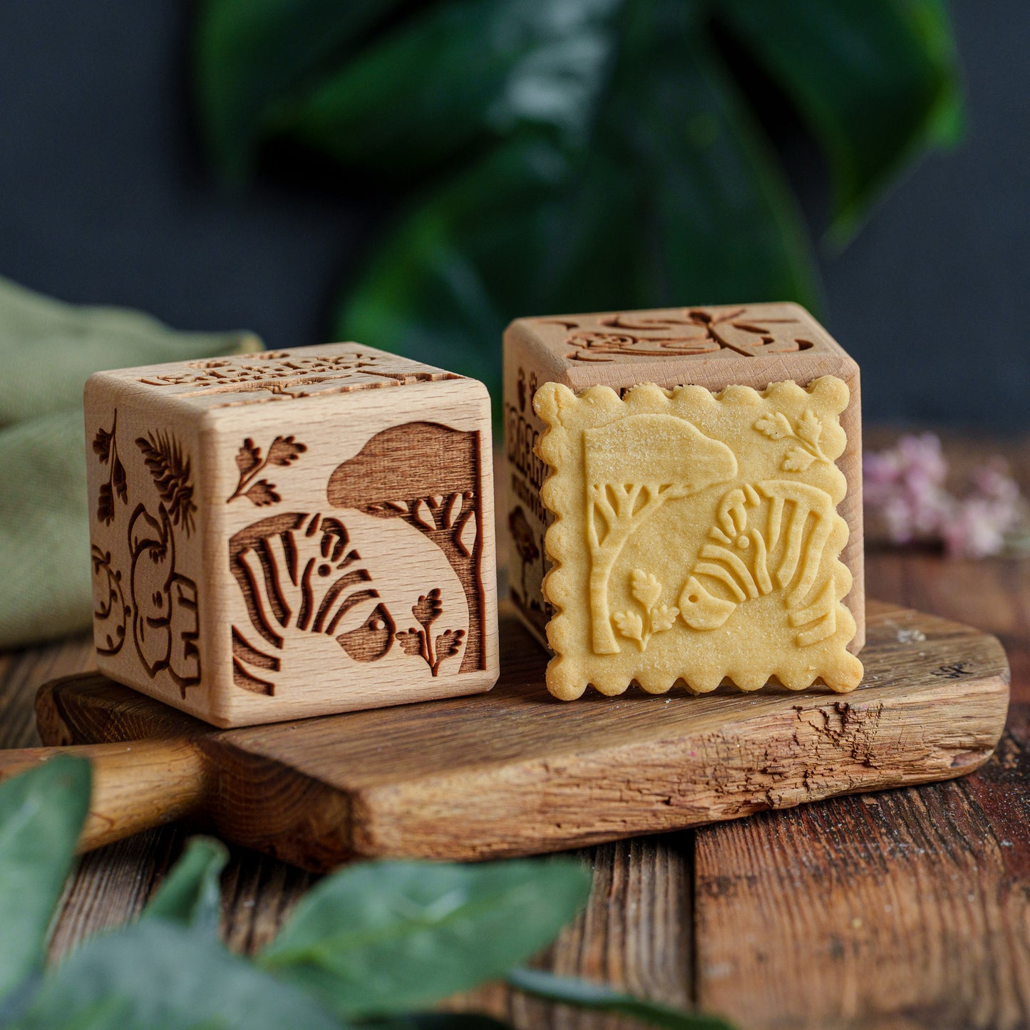 SAFARI, cake cube