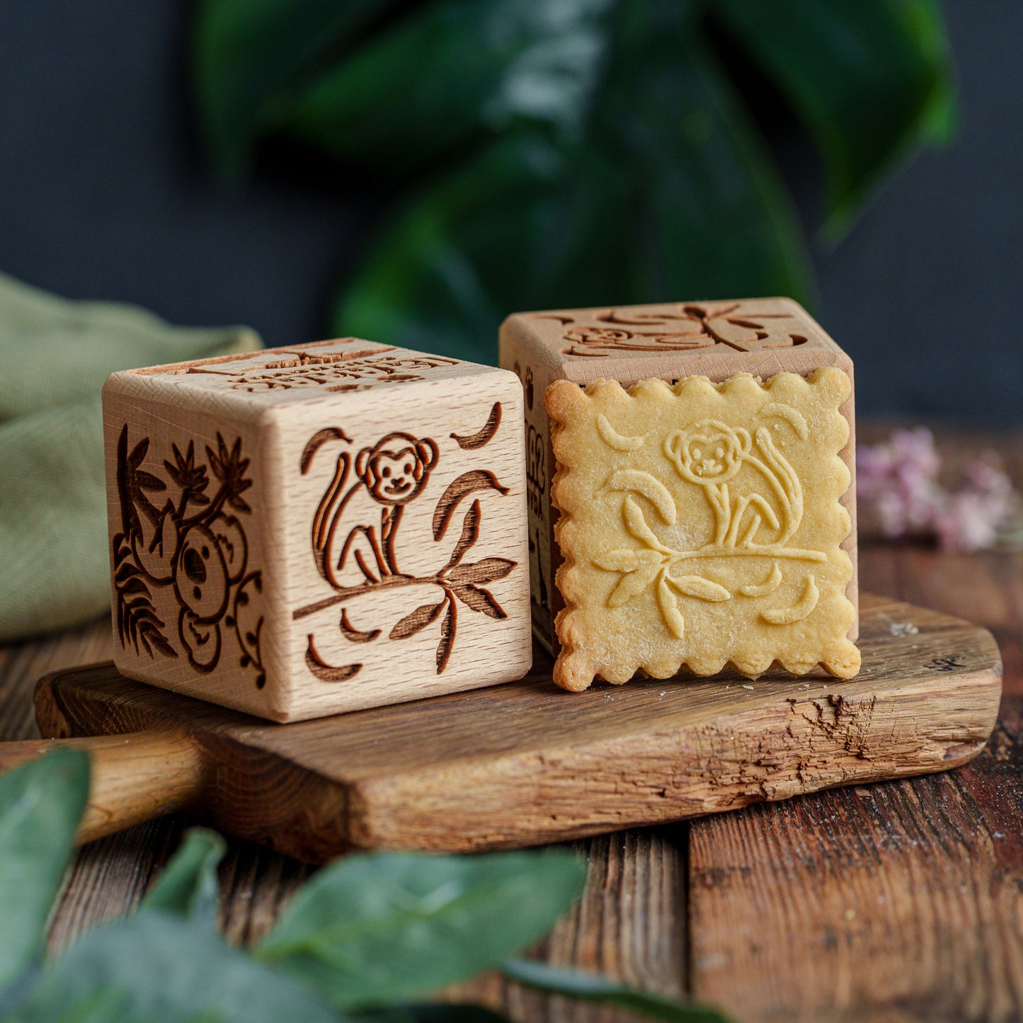 SAFARI, cake cube