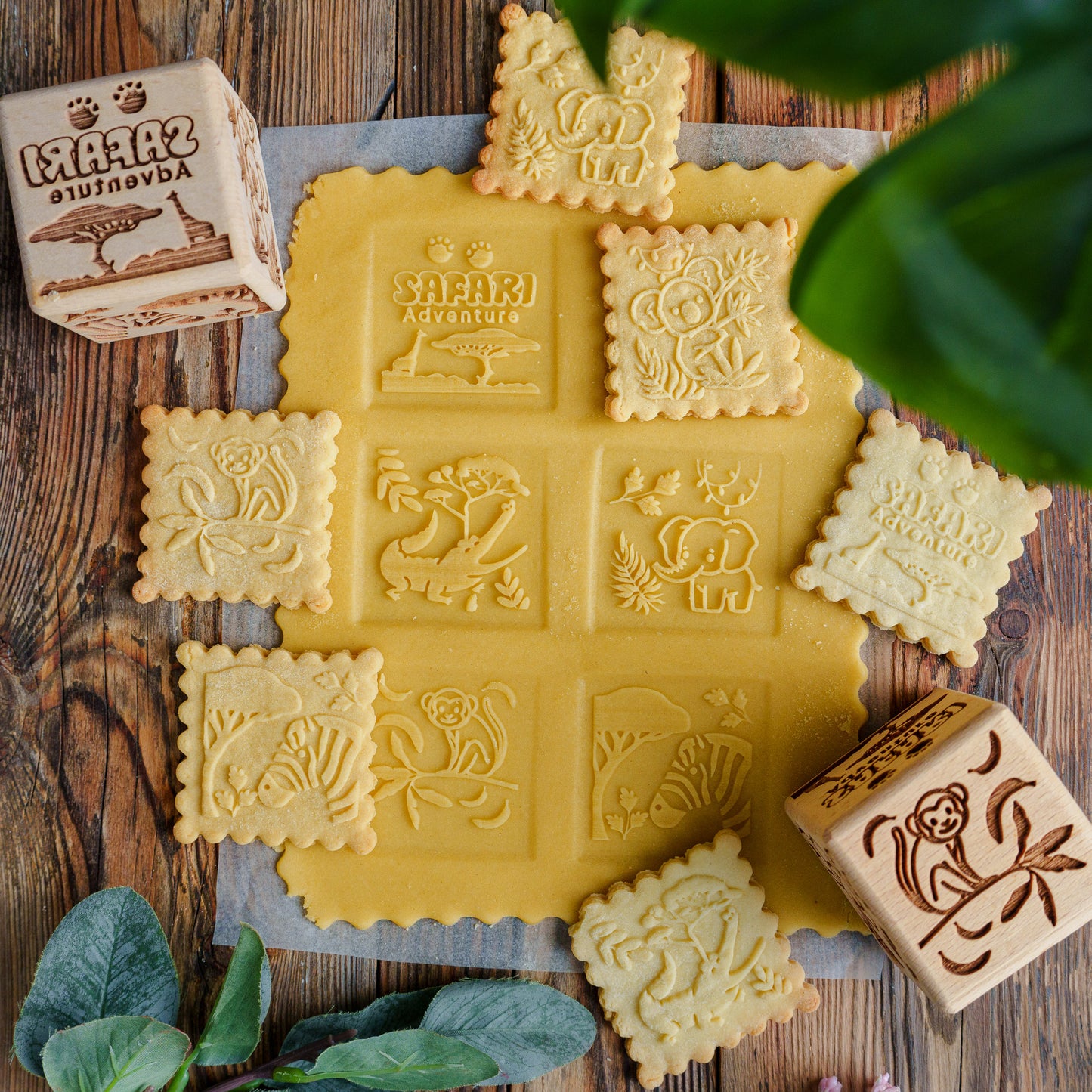 SAFARI, cake cube